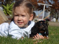 a little girl laying on the grass with a dog