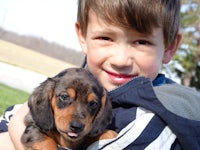 a young boy holding a dachshund puppy