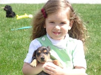 a little girl holding a dachshund puppy