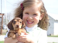 a little girl holding a dachshund puppy