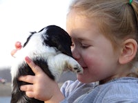 a little girl kissing a small black and white puppy